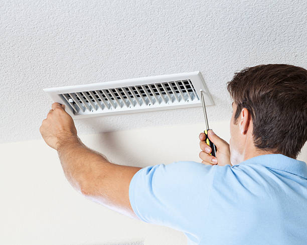Best Biohazard Mold Removal  in Saltillo, MS